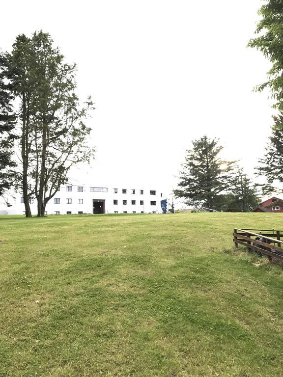 Gæstehus - Mollegata 81 *